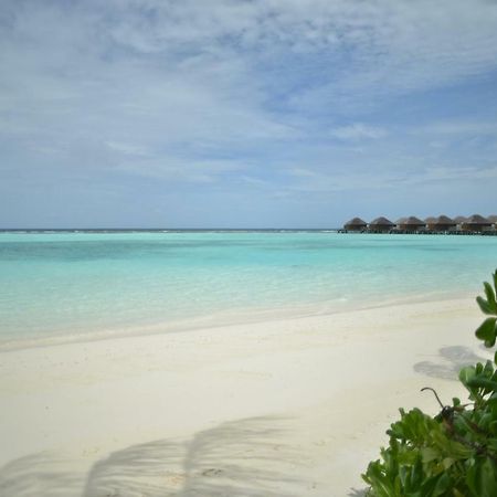 Vakarufalhi Maldives Dhangethi Eksteriør bilde