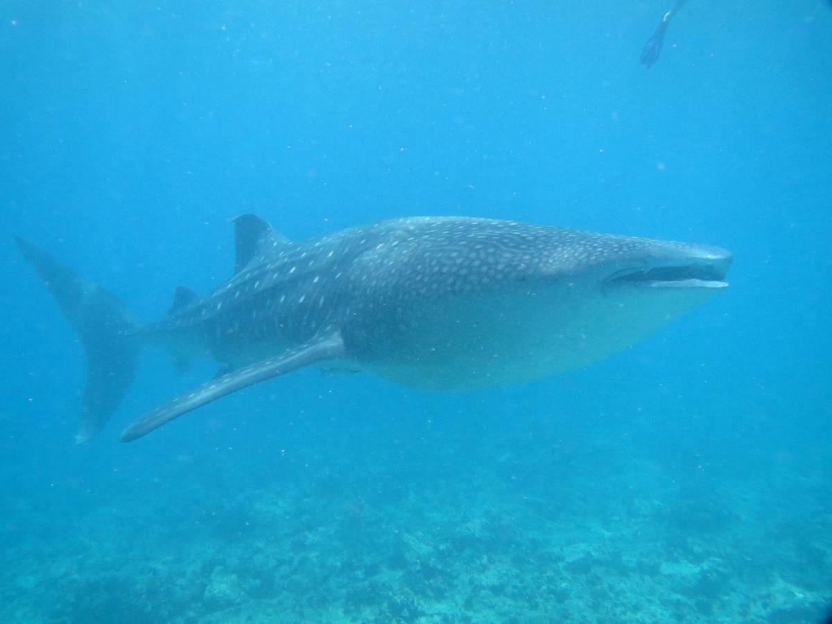 Vakarufalhi Maldives Dhangethi Eksteriør bilde