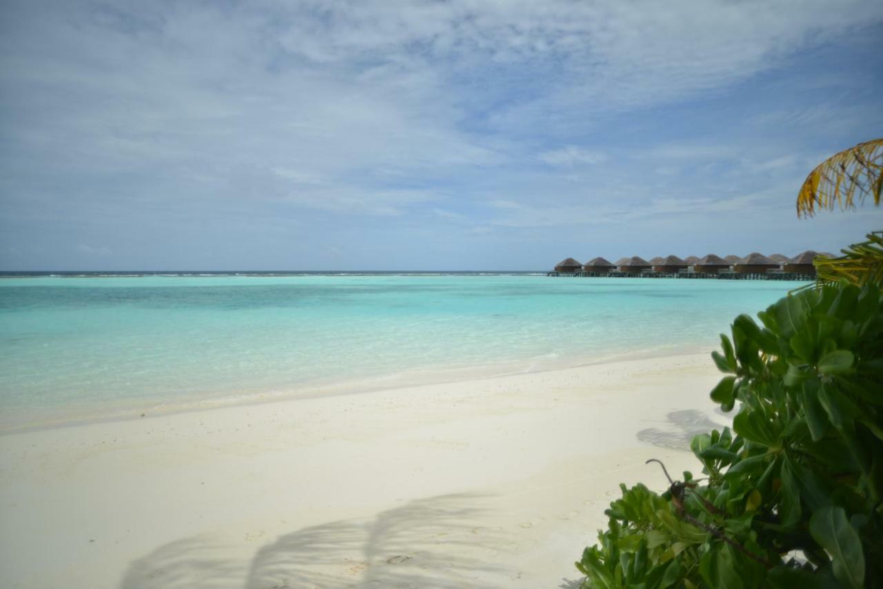 Vakarufalhi Maldives Dhangethi Eksteriør bilde